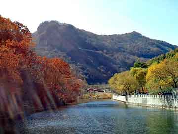 新澳天天开奖资料大全旅游团，鸽子养殖前景